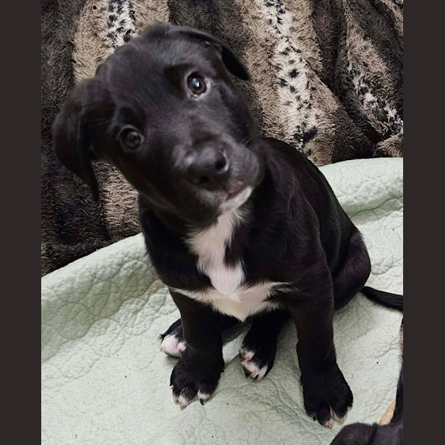 Photo of Cash