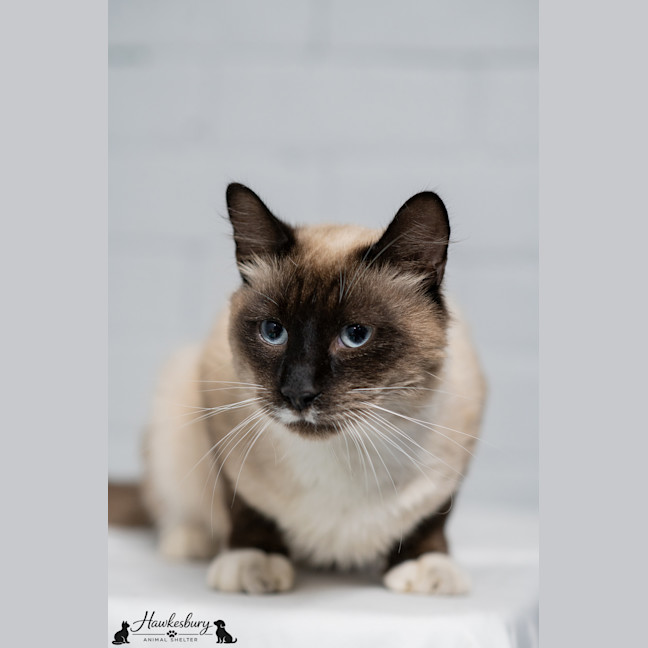 Photo of Sammy