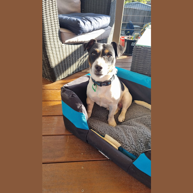Photo of Morty