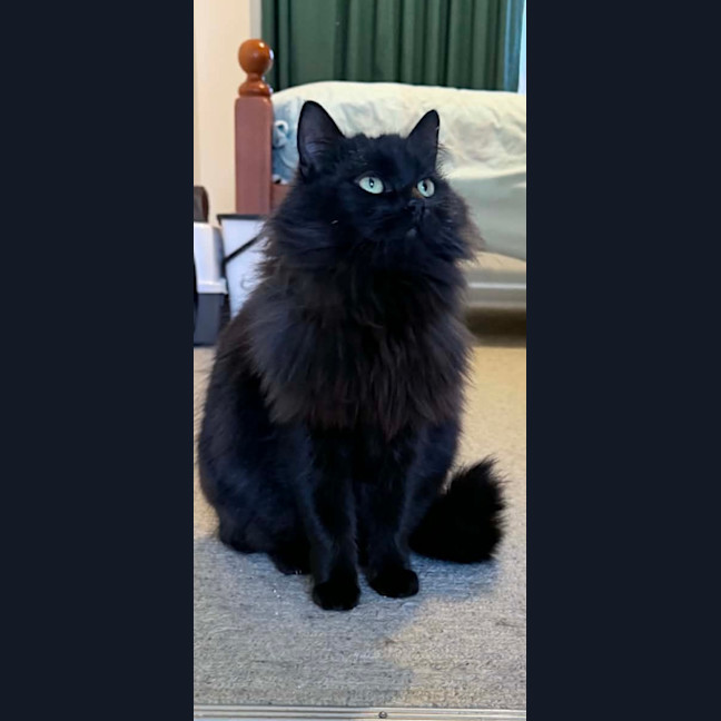 Photo of Dee