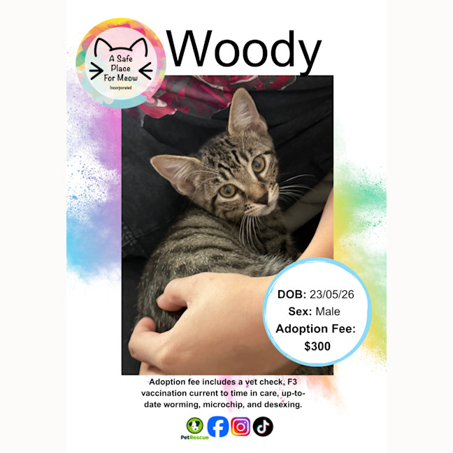 Photo of Woody