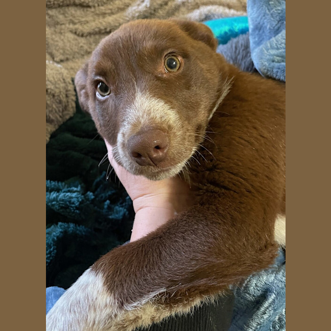 Photo of Charlie