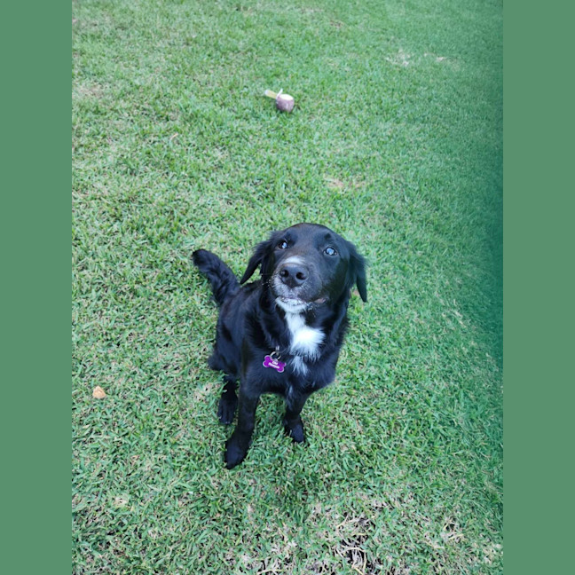 Photo of Lilly