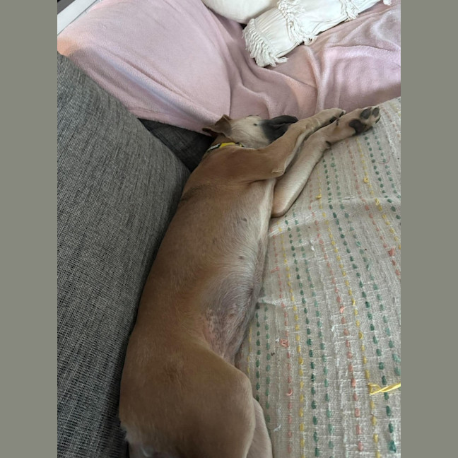 Photo of Milla 