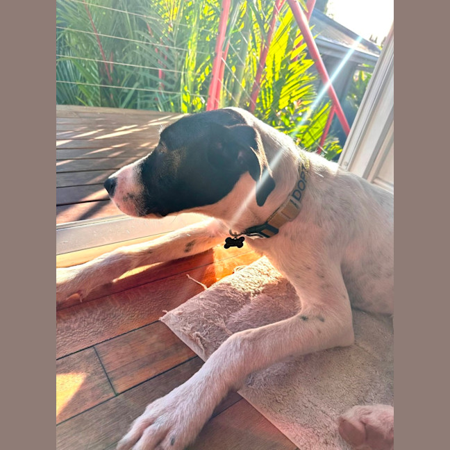 Photo of Buster