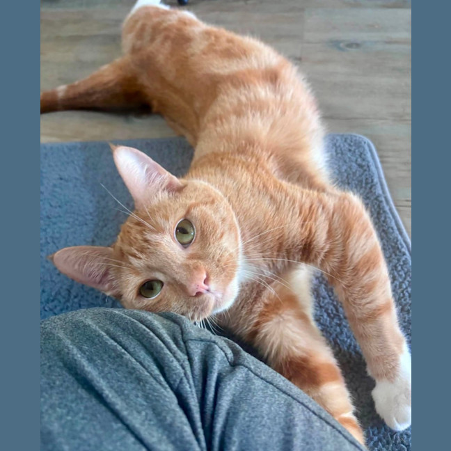 Photo of Ginger Megs