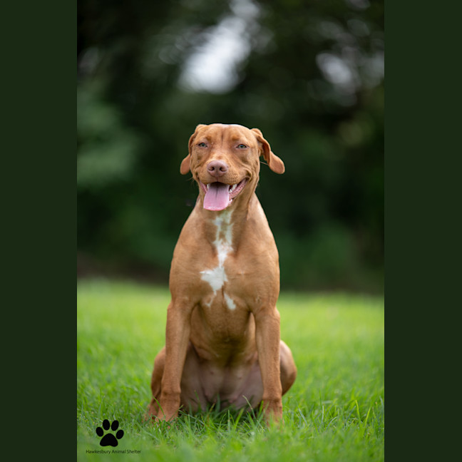 Photo of Sally