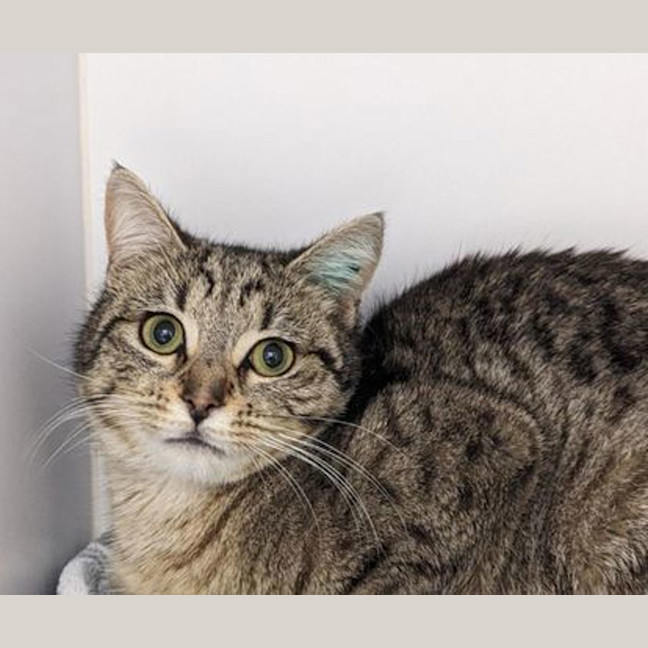 Photo of Tammie