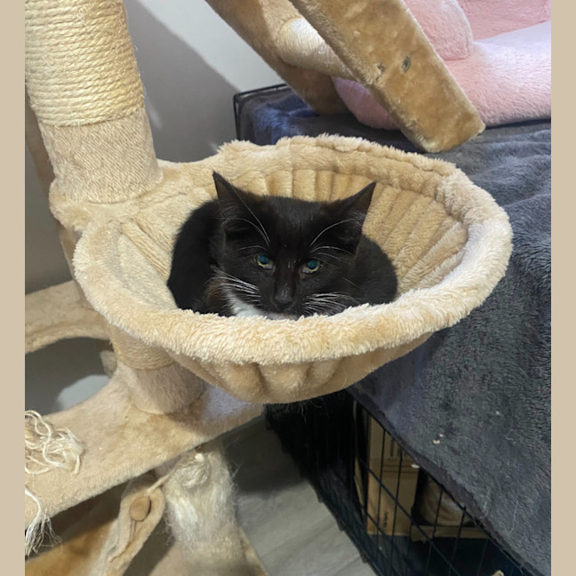 Photo of Astrid & Nova