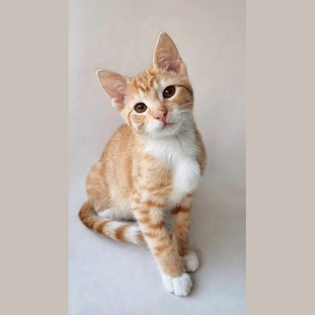 Photo of Maverick 