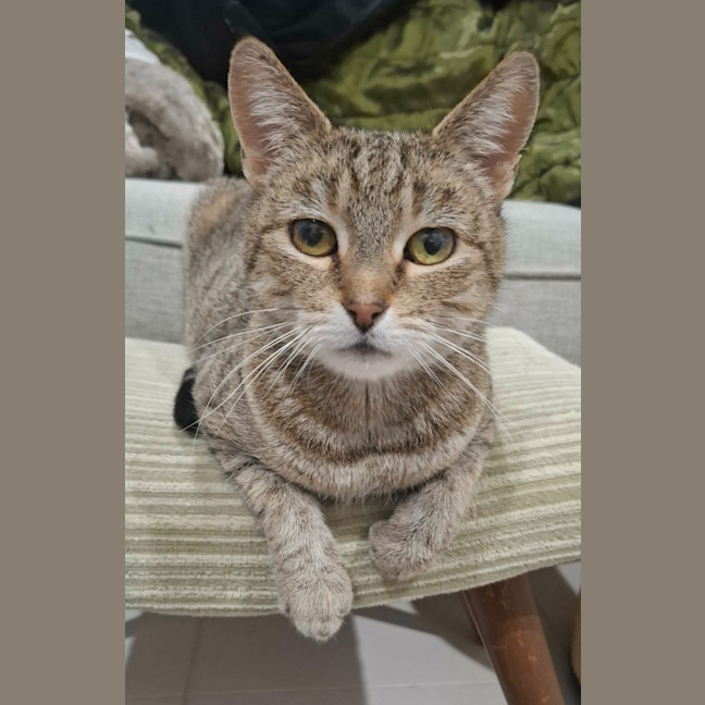 Photo of Mia