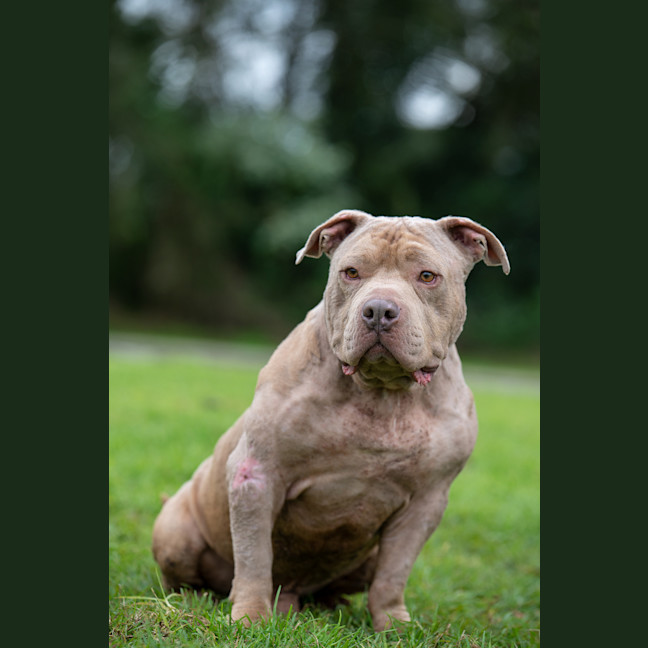Photo of Wally
