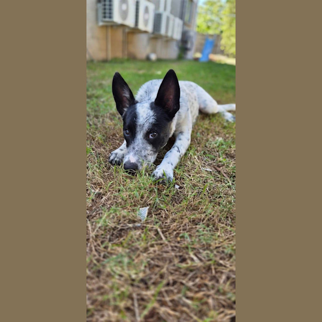 Photo of Temu
