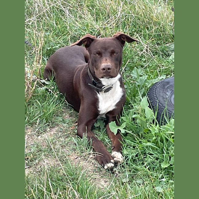 Photo of Patch
