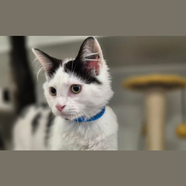 Photo of Tim
