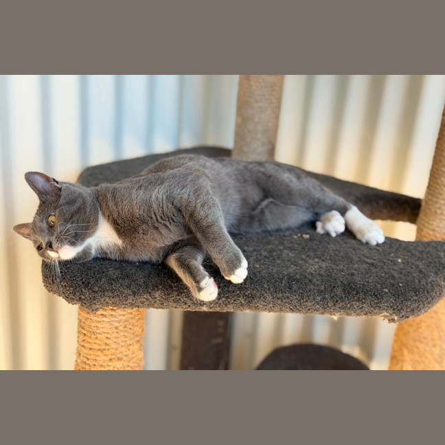 Photo of Nora