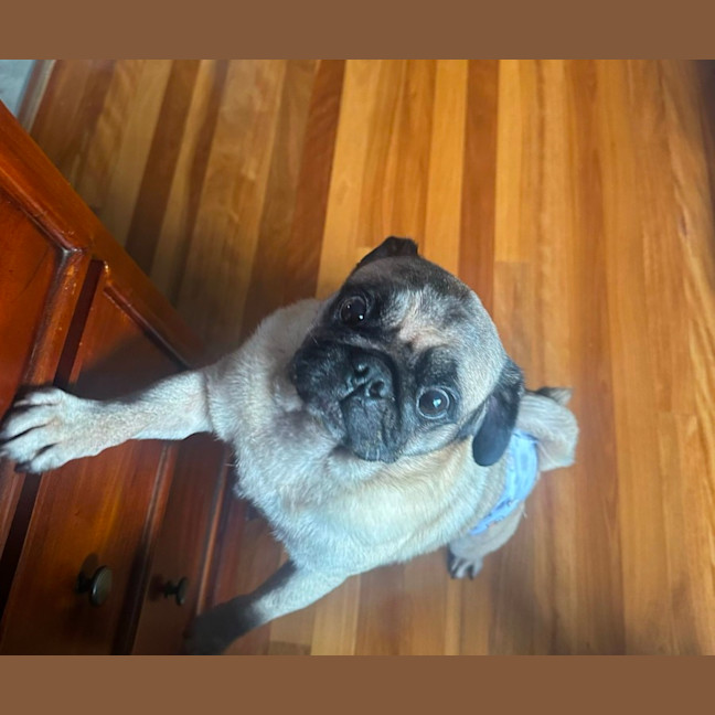 Photo of Walter
