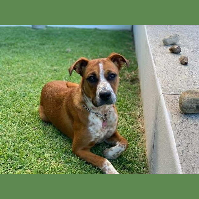 Photo of Lola