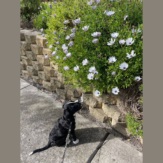 Photo of Dee Reynolds