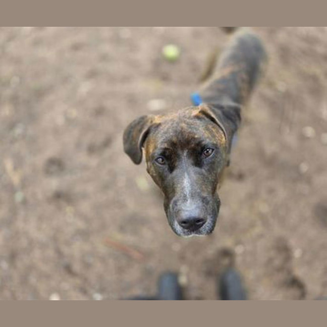 Photo of Lady Whistledown