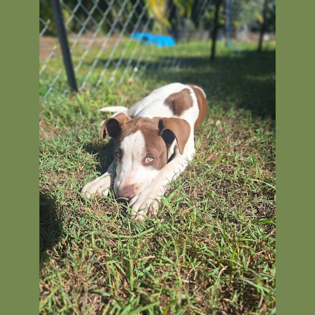 Photo of Phoenix