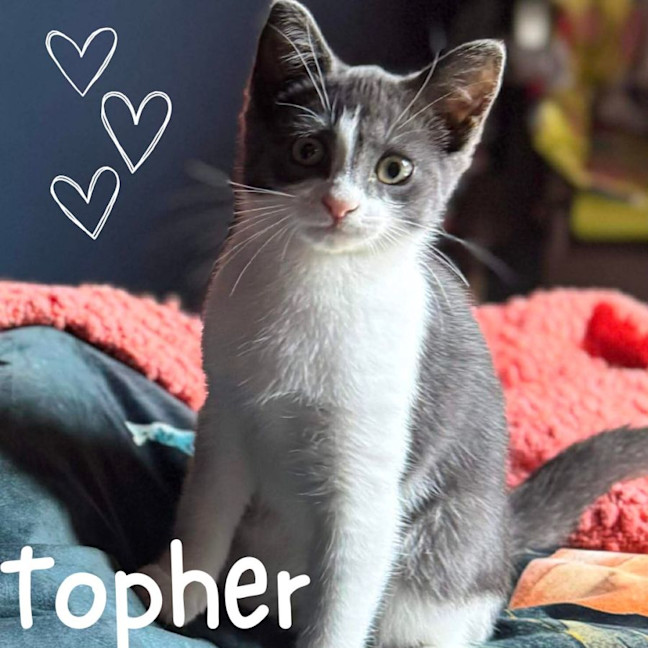 Photo of 💕 Topher 💕