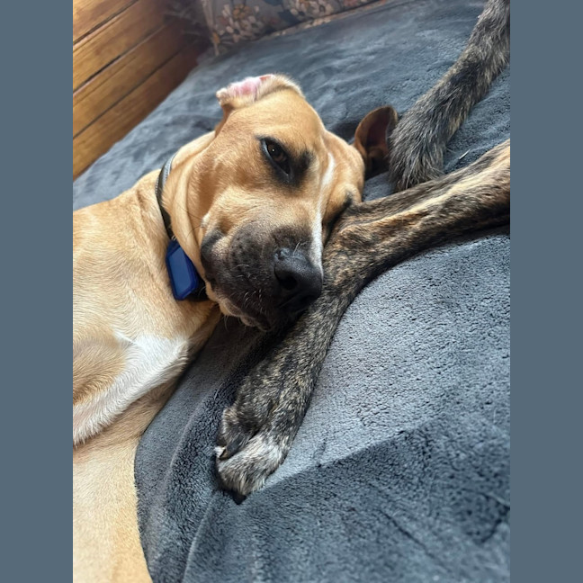 Photo of Gilderoy Lockhart