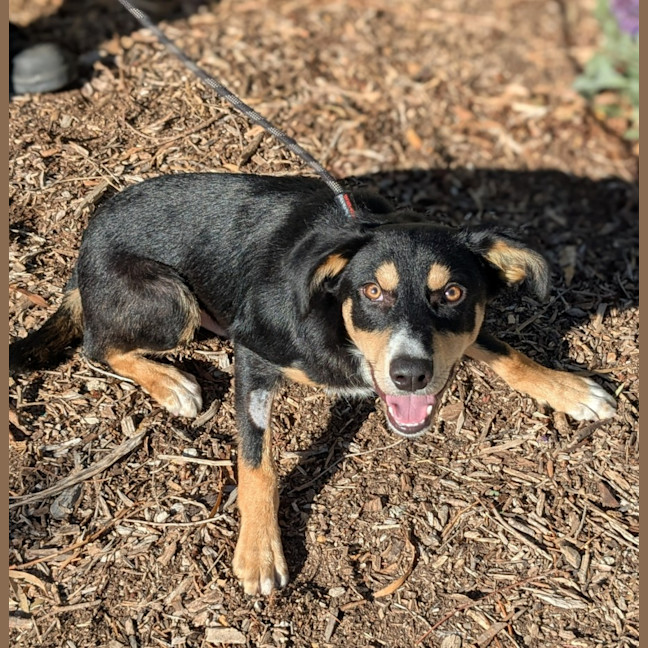 Photo of 🧨 Darragh 6114 🧨