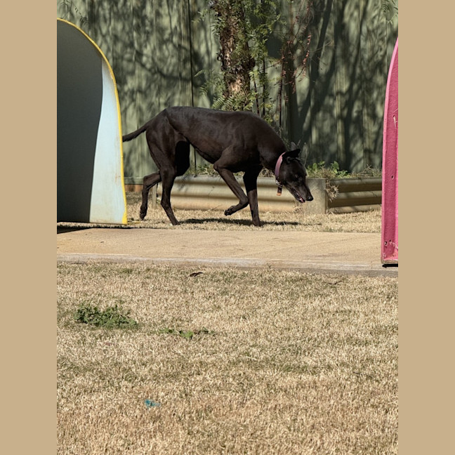 Photo of Ramirez