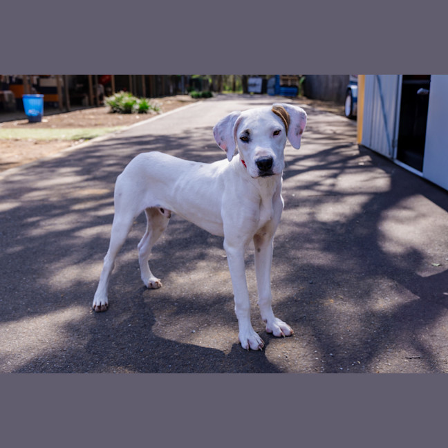 Photo of Spirit