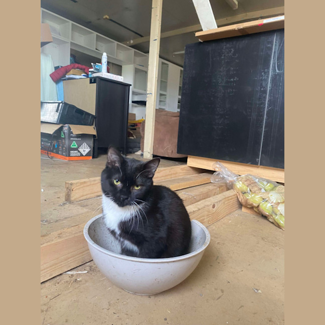 Photo of Nibbles & Moth