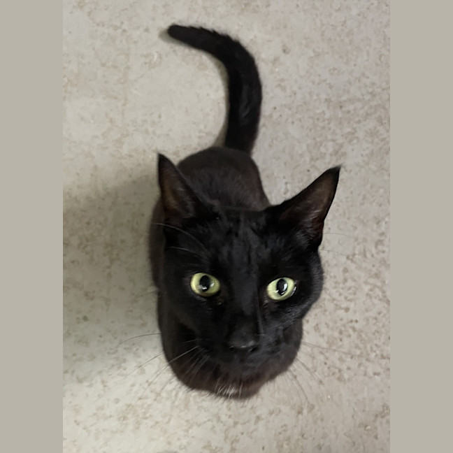 Photo of Bagel