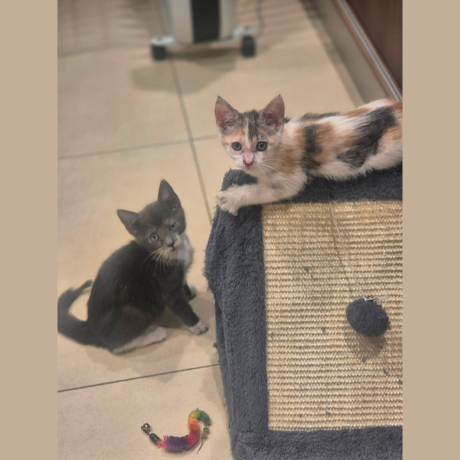 Photo of Hazel And Cloud