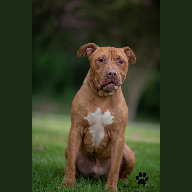 Photo of Bronx