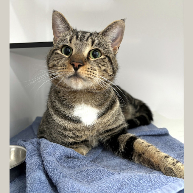 Photo of Mani Sua013109