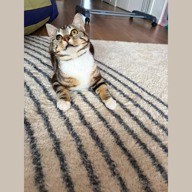 Photo of Gabby