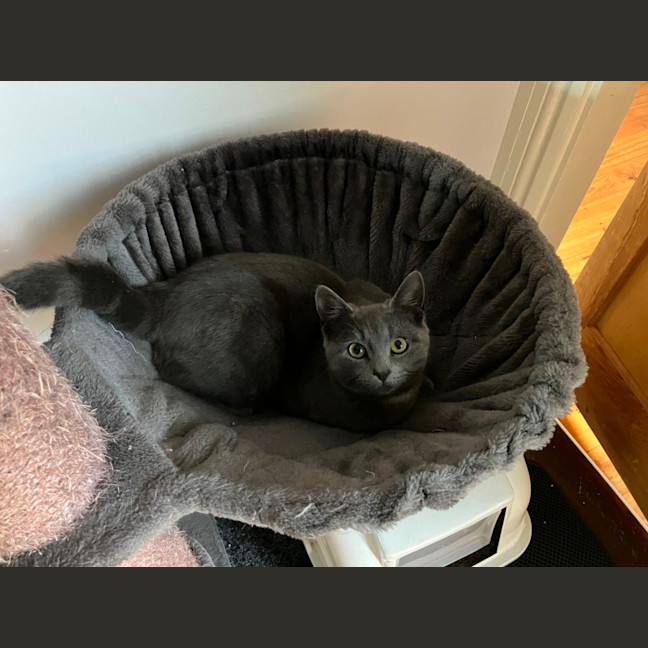 Photo of Gus