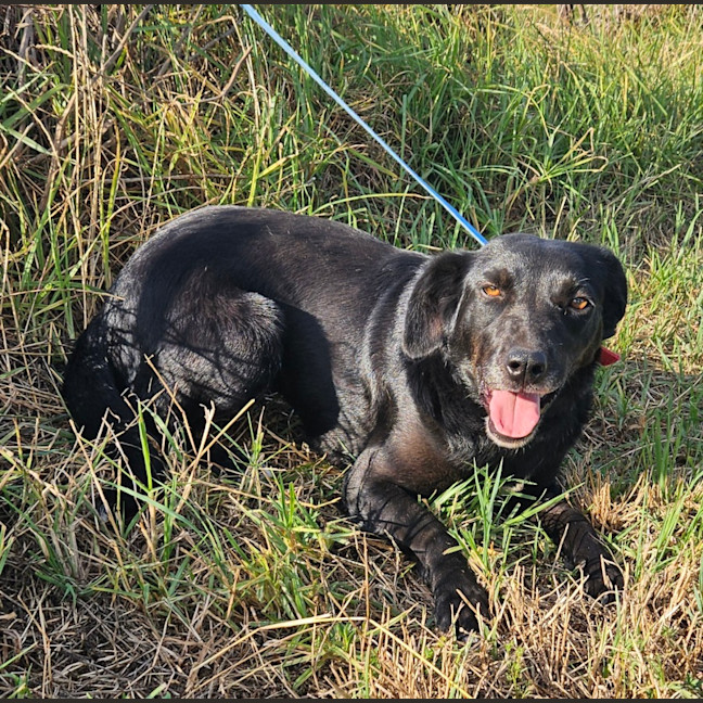 Photo of Peggy