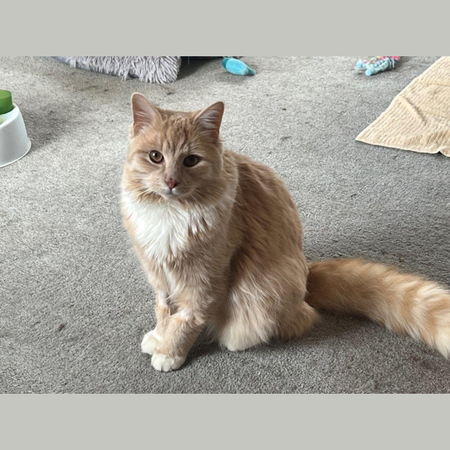 Photo of Ricardo Silvanus