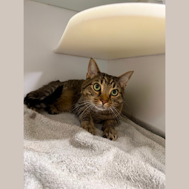 Photo of 🏵️ Fred 7627 🏵️