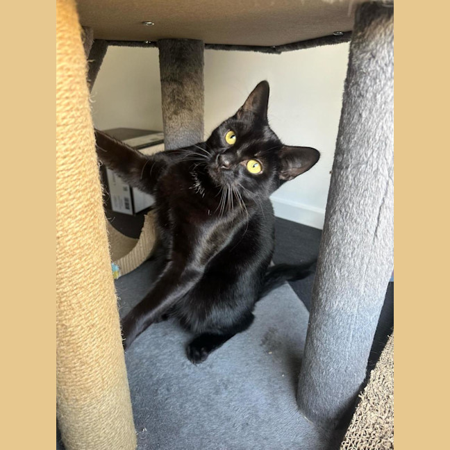 Photo of Giorgio 💙