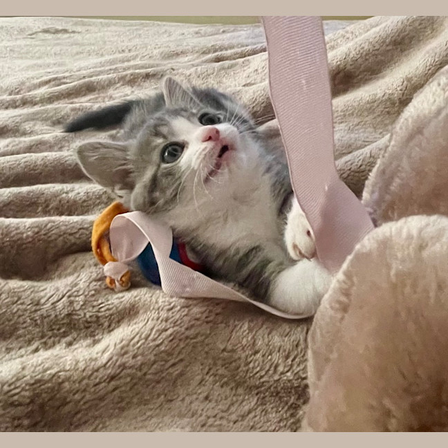 Photo of Minnie Mimi