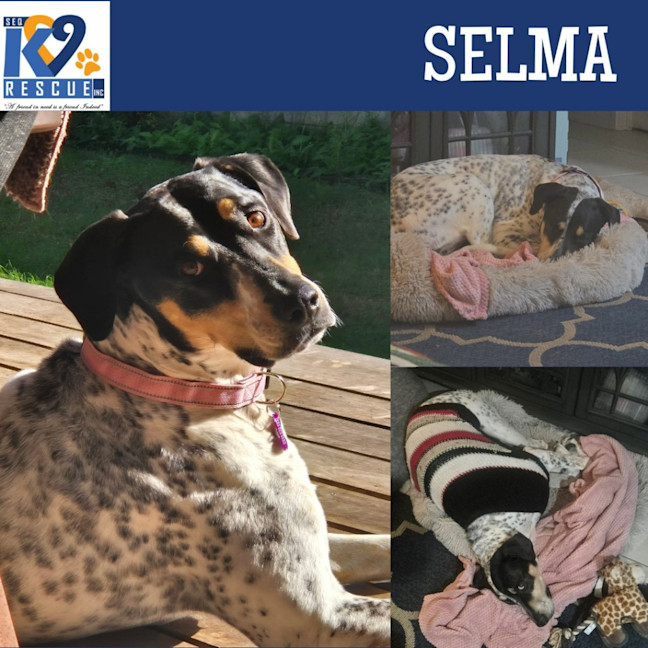 Photo of Selma
