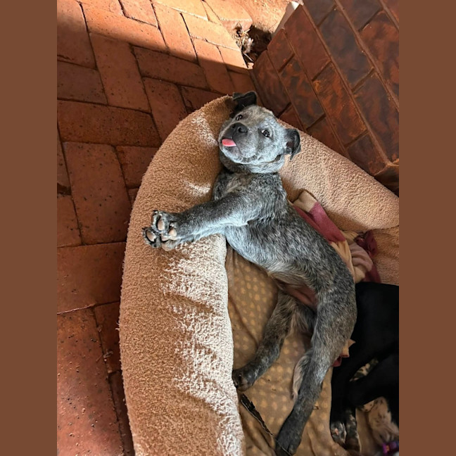 Photo of Luigi