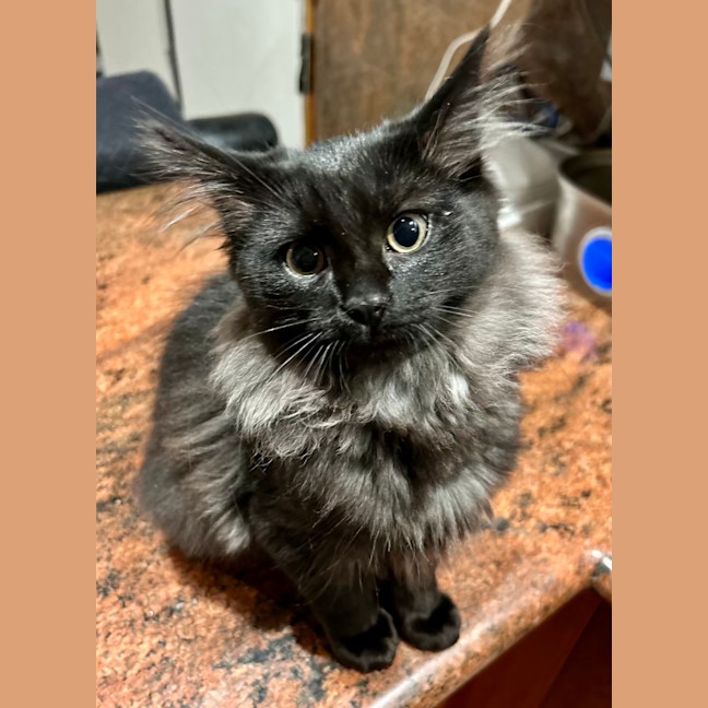 Photo of Lumos   Located In Lower Plenty