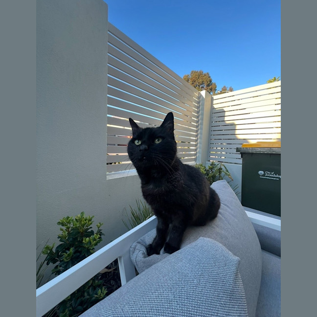 Photo of Gertrude