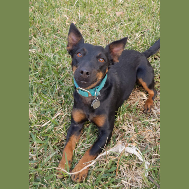 Photo of Winona (Aka Winnie) 