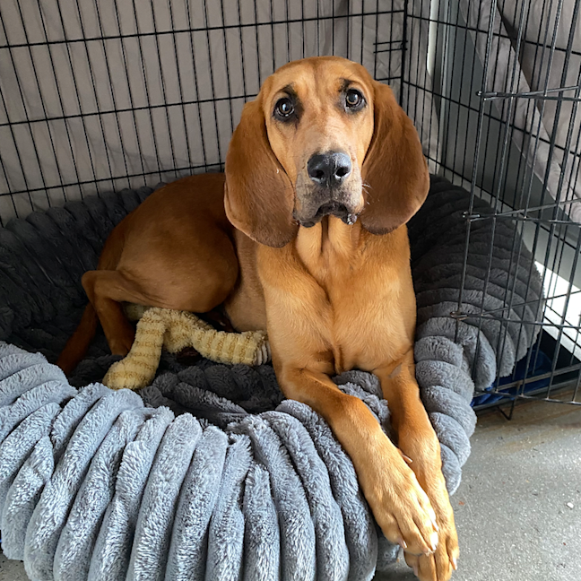 Photo of Maggie