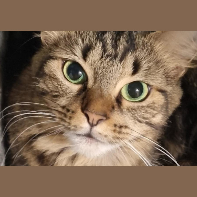 Photo of Fus Fus