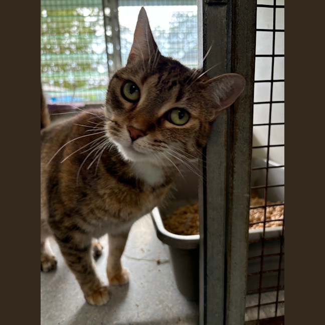 Photo of Luna
